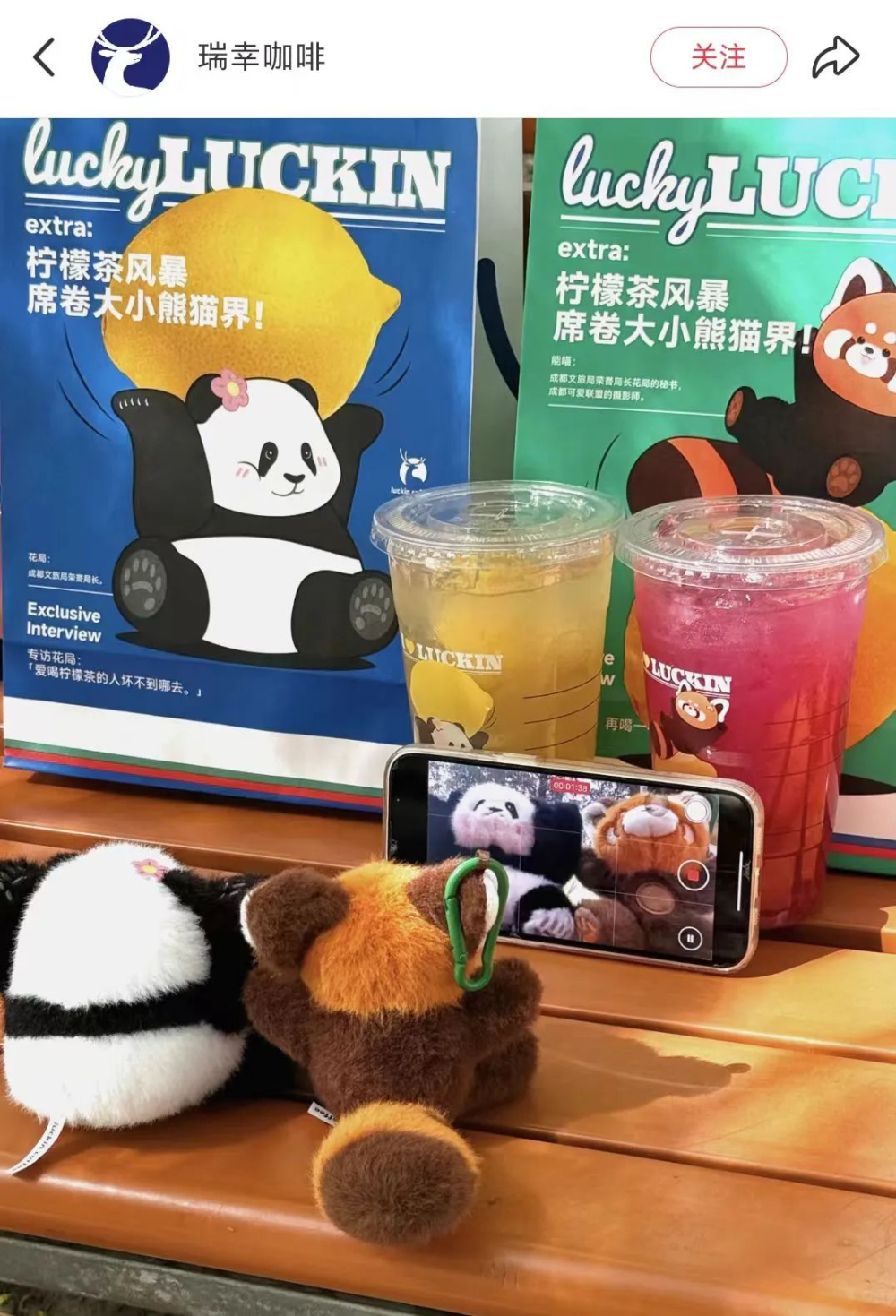 瑞幸联名成都文旅推出熊猫玩偶，花花公仔品控翻车引网友集体吐槽