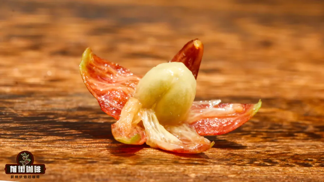 蜜处理咖啡的蜜指什么?葡萄干蜜处理与草莓糖风味解析 蜜处理咖啡的蜜指什么?葡萄干蜜处理与草莓糖风味解析