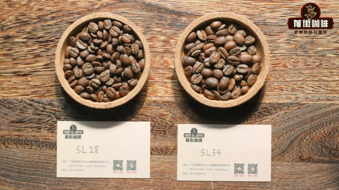 肯尼亚SL28咖啡品种的前世今生与经典水洗风味解析 肯尼亚SL28咖啡品种的前世今生与经典水洗风味解析