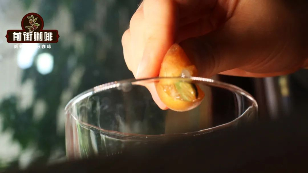 黄皮冰美式怎么做好喝?三种特调配方:气泡版、茉莉花茶版与话梅冰瑶版详细教程 黄皮冰美式怎么做好喝?三种特调配方:气泡版、茉莉花茶版与话梅冰瑶版详细教程