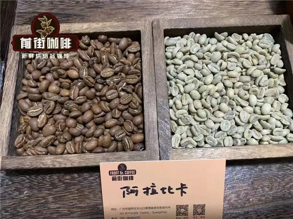 罗布斯塔与阿拉比卡有何差异?手冲纯罗豆的粉水比、研磨度及水温全解析 罗布斯塔与阿拉比卡有何差异?手冲纯罗豆的粉水比、研磨度及水温全解析