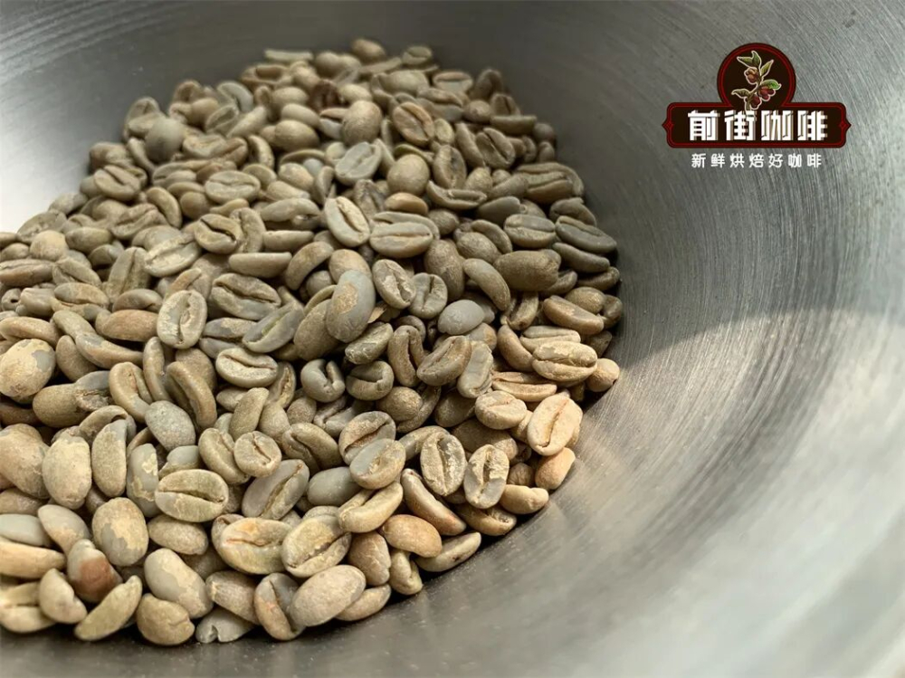 瑰夏咖啡品种全解析:从埃塞俄比亚起源到巴拿马成名,附前街高性价比瑰夏豆推荐 瑰夏咖啡品种全解析:从埃塞俄比亚起源到巴拿马成名,附前街高性价比瑰夏豆推荐