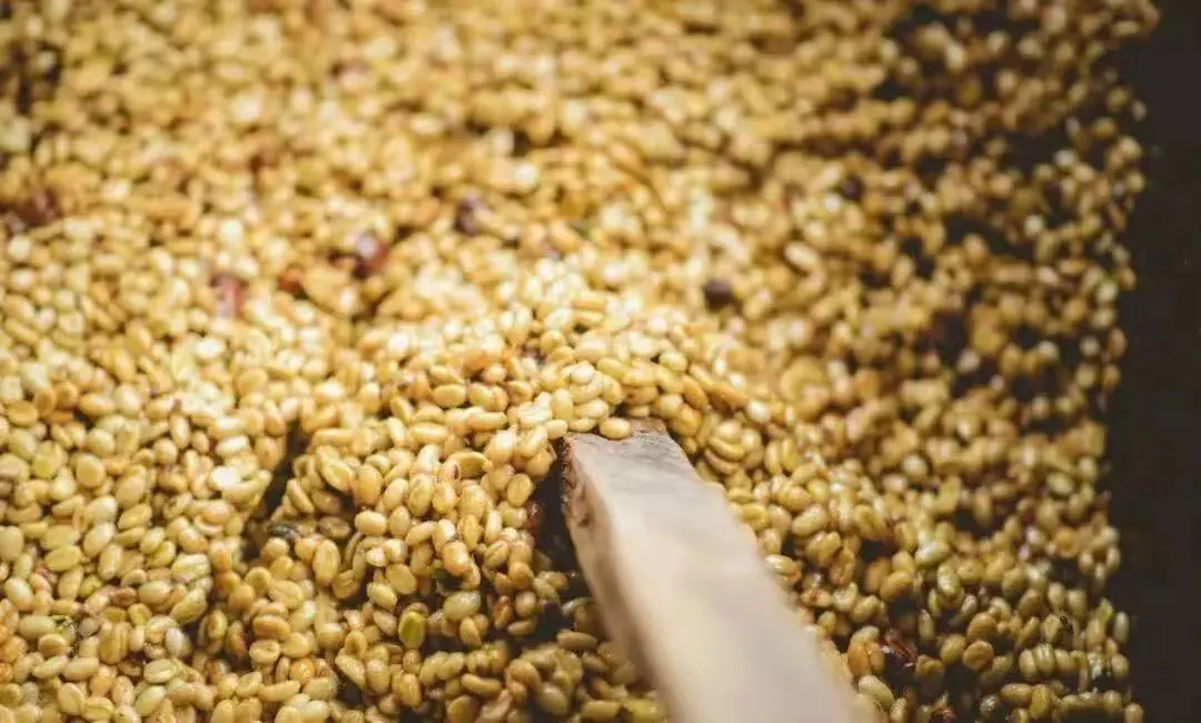 日晒与水洗咖啡的风味差异及成因:从处理流程到杯中表现的完整解析 日晒与水洗咖啡的风味差异及成因:从处理流程到杯中表现的完整解析