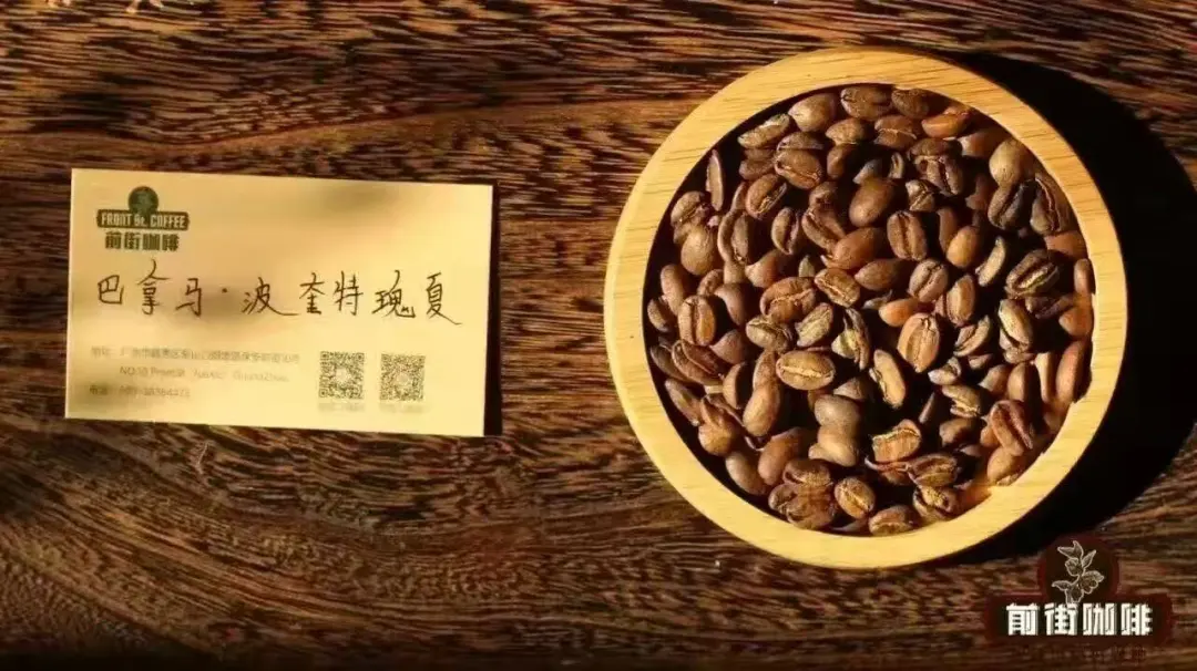 阿拉比卡与罗布斯塔有何本质差异？瑰夏、铁皮卡在咖啡属中处于什么位置