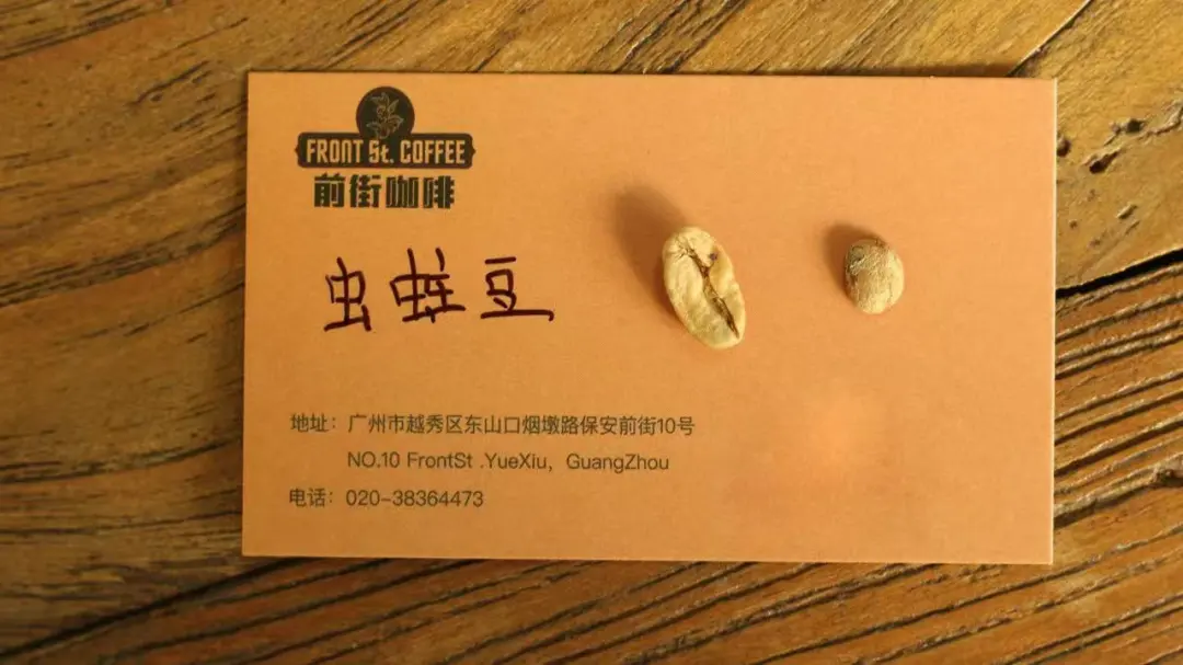 冲咖啡前要不要挑瑕疵豆？霉豆、虫蛀豆、黑豆与奎克豆的辨识与影响