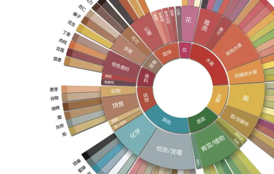 SCAA咖啡风味轮使用指南：从三环结构到感官训练，系统掌握手冲咖啡品鉴方法