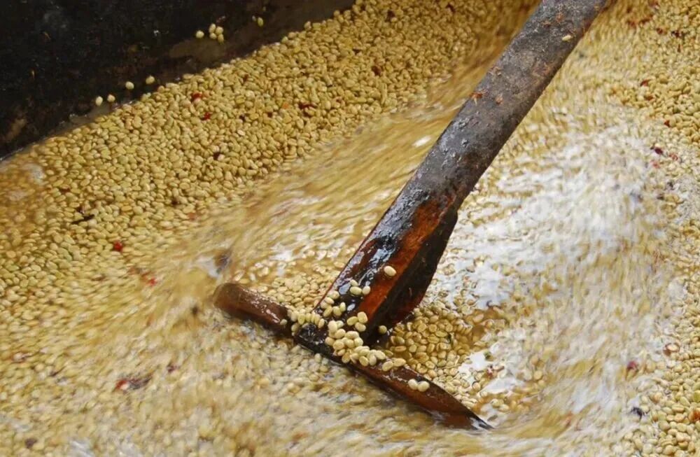 非洲、拉美与亚洲三大咖啡产区风味特点及代表豆种全解析