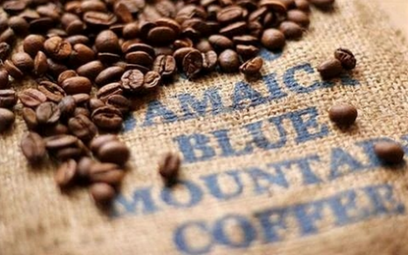 牙买加蓝山咖啡等级划分、风味特征与市场价格全解析