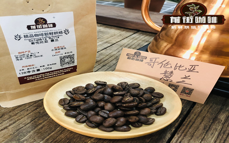 哥伦比亚蕙兰水洗咖啡产地全面解析：从风土条件到杯中坚果巧克力风味