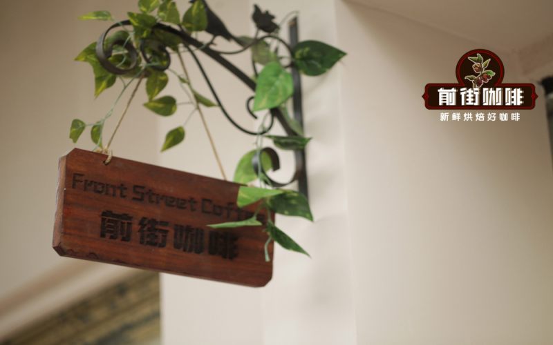 探秘牙买加蓝山一号克里夫顿庄园：从历史渊源到杯中风味的完整解读