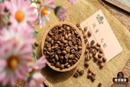 埃塞西达摩日晒花魁｜咖啡单品豆花魁/瑰夏/艺伎是同个咖啡品种吗？花魁和Geisha有何区别？