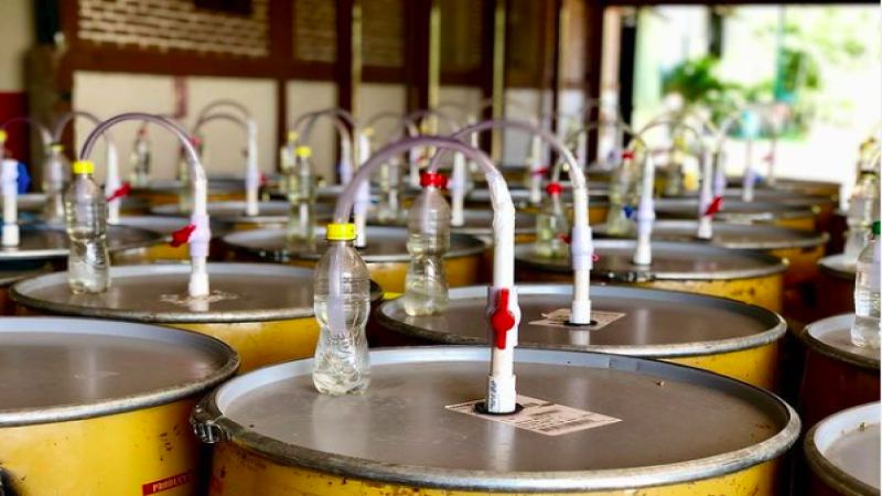 咖啡豆酵素处理法原理解析：日晒、水洗与蜜处理三种工艺差异全解