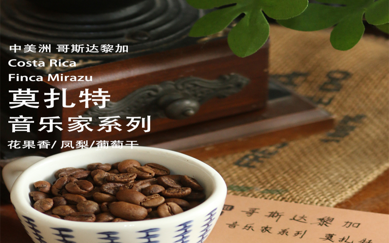 专业玩家手冲咖啡，产区性格与参数校准的选豆思路