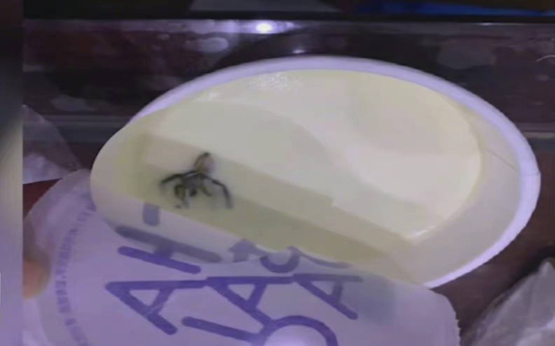 茶百道饮品再陷异物风波：蟑螂投诉与食安法索赔争议解析
