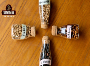 SOE美式酸感怎样：兼顾预算与饮用频率