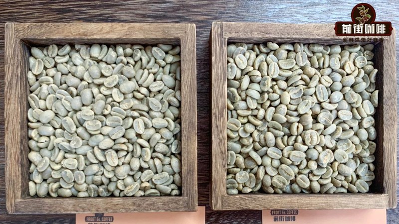 看懂豆袋上的G1与海拔信息：生豆分级代码背后的风味线索