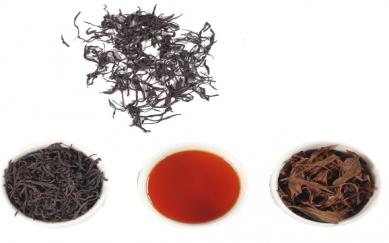 台茶18号红玉红茶风味特征全解析：外观香气滋味描述与奶茶冲泡比例指南