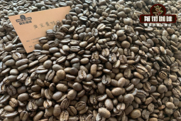 印尼黄金曼特宁风味探索