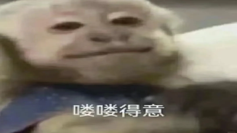 咖啡拉花晕染成因深度解析：奶泡分层、豆奶特性与打发含水量的关键影响