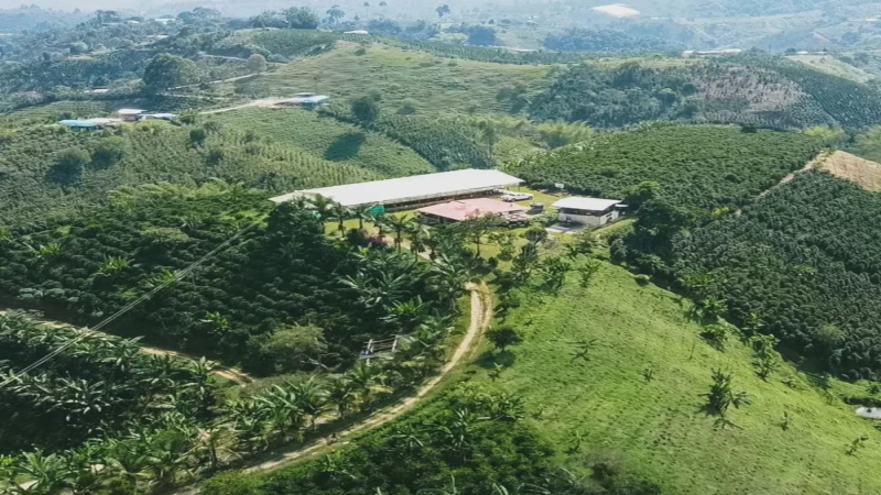 前街哥伦比亚惠兰咖啡豆的手冲参数与风味特征详细解析