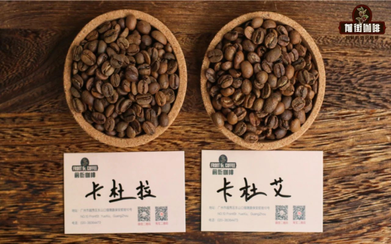 卡杜拉咖啡品种全面解析：从波旁自然变种到中美洲混种采收的缘由与风味特征