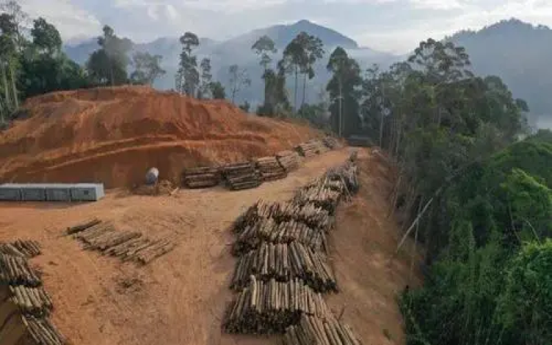 USDA最新报告解读：2023/24年度全球咖啡产量预计增至1.714亿袋，巴西哥伦比亚复苏、越南印尼承压