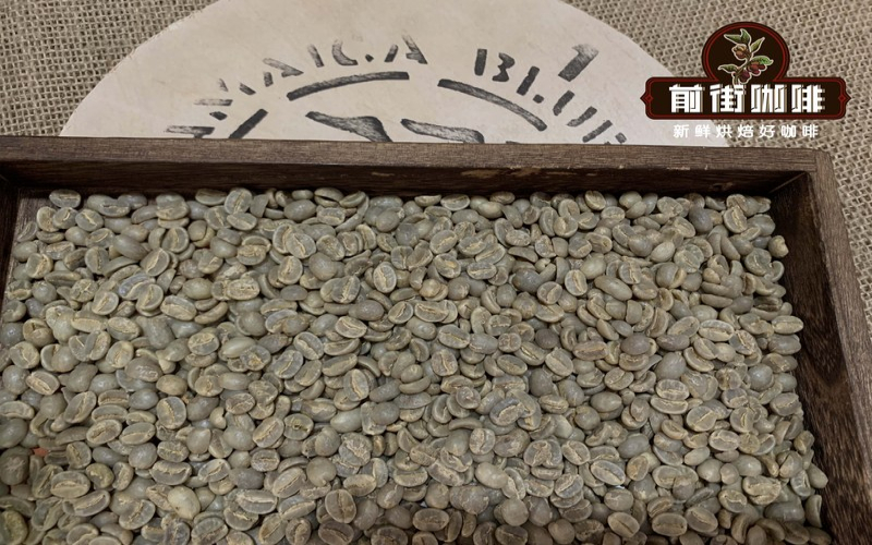 方案终稿送达00:47，冰箱嗡鸣里馋一口冰咖啡的脆响
