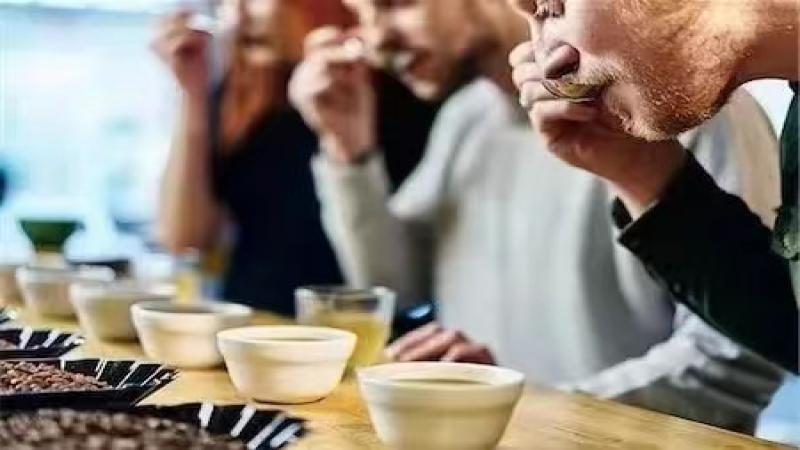 COE卓越杯与SOE单品浓缩的区别解析：从生豆赛事到意式萃取的咖啡知识