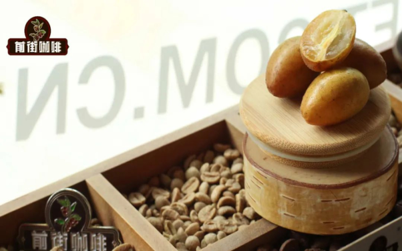 黄皮冰美式怎么做好喝？三种特调配方：气泡版、茉莉花茶版与话梅冰瑶版详细教程
