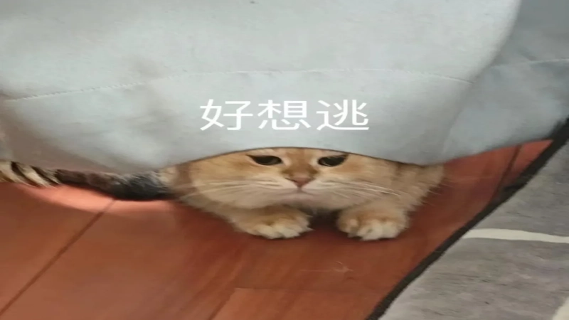 从出液状态判断浓缩咖啡萃取是否正常，以及萃取前需要检查哪些细节