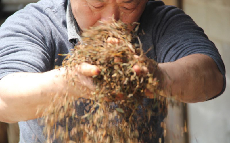 武夷金毛猴工夫红茶算高端红茶吗？正宗金毛猴工夫茶去哪个品牌渠道选购