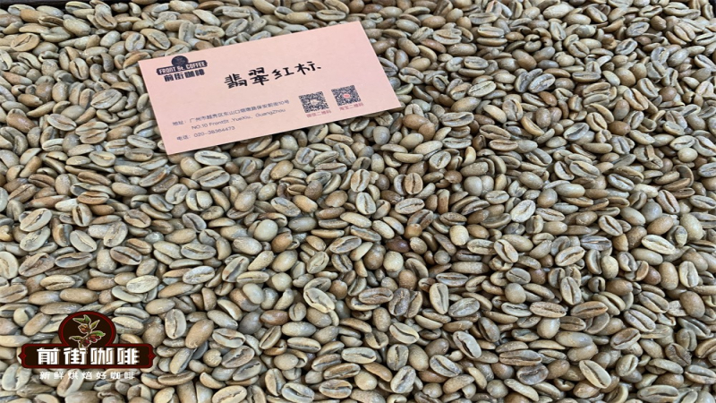 巴拿马瑰夏手冲水温与冲煮参数详解：冰手冲三段式做法分享