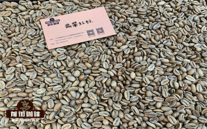 巴拿马瑰夏手冲水温与冲煮参数详解：冰手冲三段式做法分享