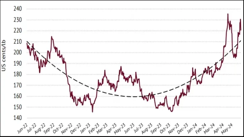 国际咖啡组织5月报告：全球咖啡产量预计达1.78亿袋，综合价格小幅回落