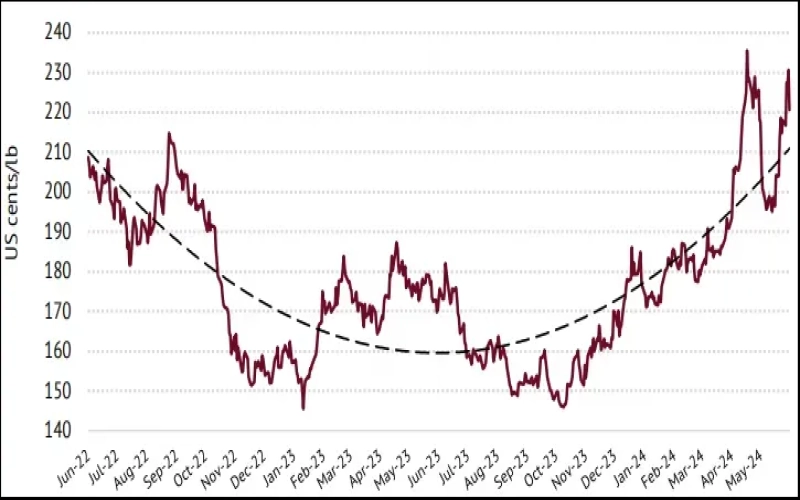 国际咖啡组织5月报告：全球咖啡产量预计达1.78亿袋，综合价格小幅回落