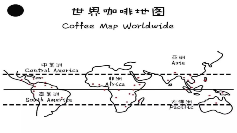 拉丁美洲咖啡产区全景：从巴西哥伦比亚到古巴多米尼加等小众产国解析