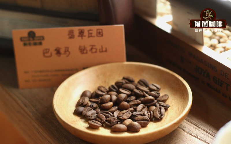让香料气息安稳落进一杯咖啡里的冲煮心法