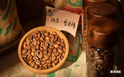 推荐适合家庭使用的意式拼配豆：兼顾预算与饮用频率