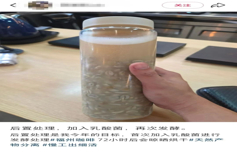 福州一咖啡店乳酸菌泡生豆意外催芽，发芽咖啡豆能否安全饮用引热议