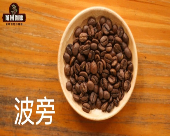 咖啡豆品种图鉴：铁皮卡、波旁、瑰夏一次看懂