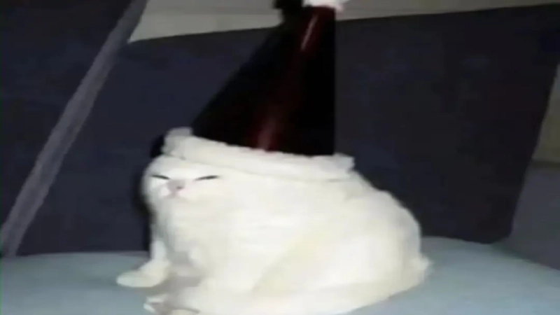 意式杏仁奶浓缩怎么配最好喝？经典浓缩该选什么咖啡豆与参数