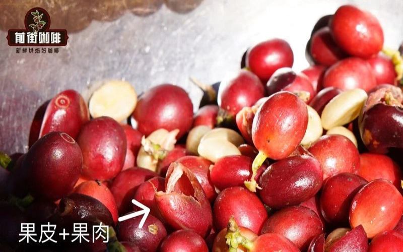 SOE从烘焙日到开袋：抓住香气正盛的窗口