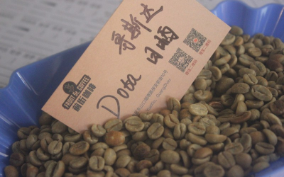 求推荐百元以下的口粮豆：兼顾预算与饮用频率