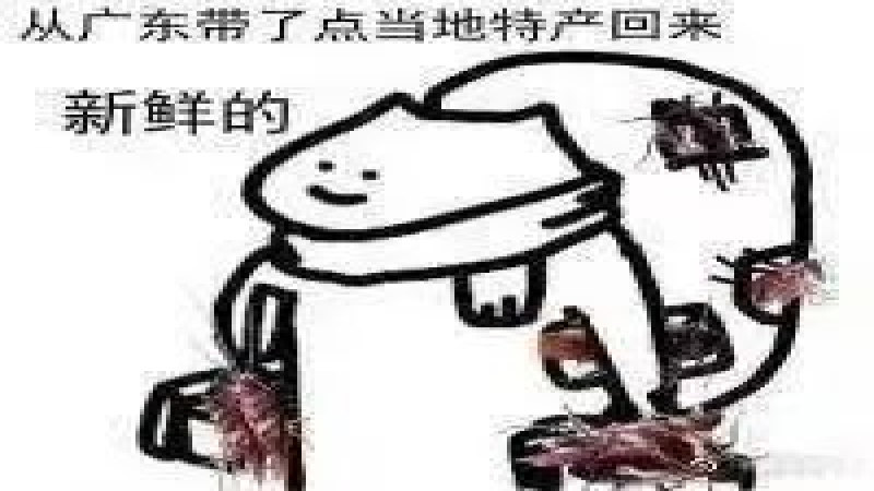 全自动咖啡机遇蟑螂困扰：日常清洁与保养不可忽视的关键细节