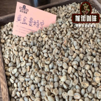 给长辈挑咖啡看懂养豆期与排气阀，每一杯都能喝到满室坚果甜香