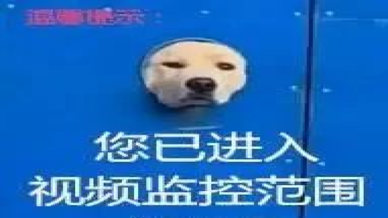 陶壶冲泡咖啡真能减轻苦味？日本常滑烧滤壶的原理与实操解析