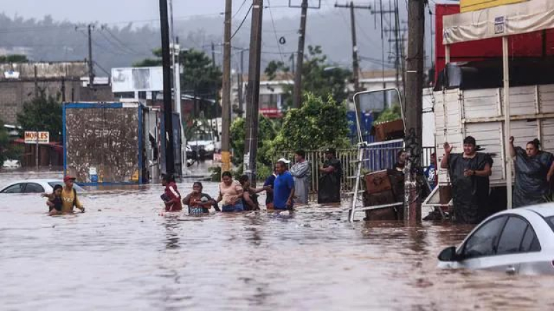 飓风“约翰”重创墨西哥南部咖啡带，16人遇难、10万户断电，新产季产量承压