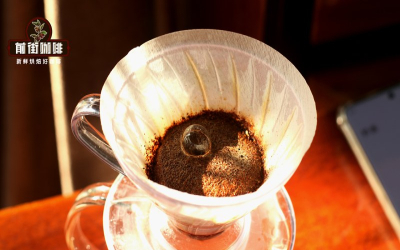 推荐浅烘豆子：从烘焙程度找到花果香