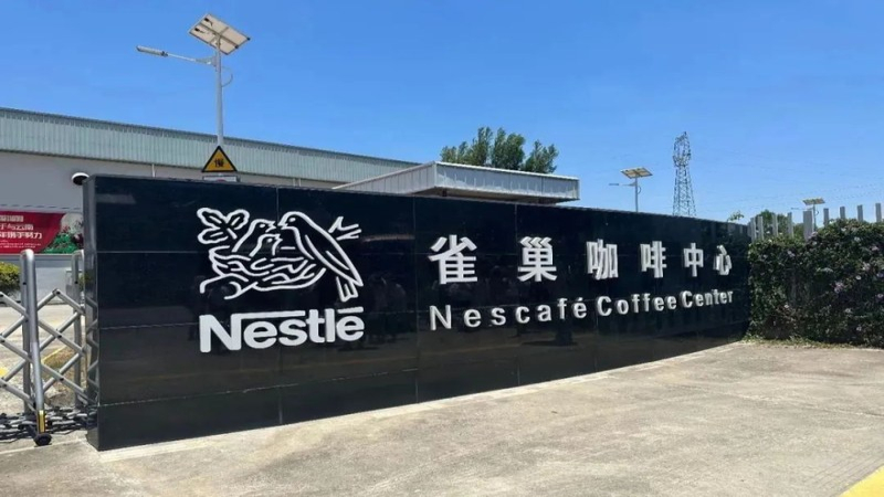看懂这行生豆规格，教你一眼认出正宗牙买加蓝山的气质！