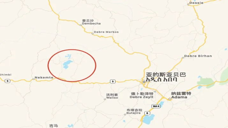 埃塞俄比亚咖啡出口面临14亿美元损失：安全冲突与欧盟新规双重夹击